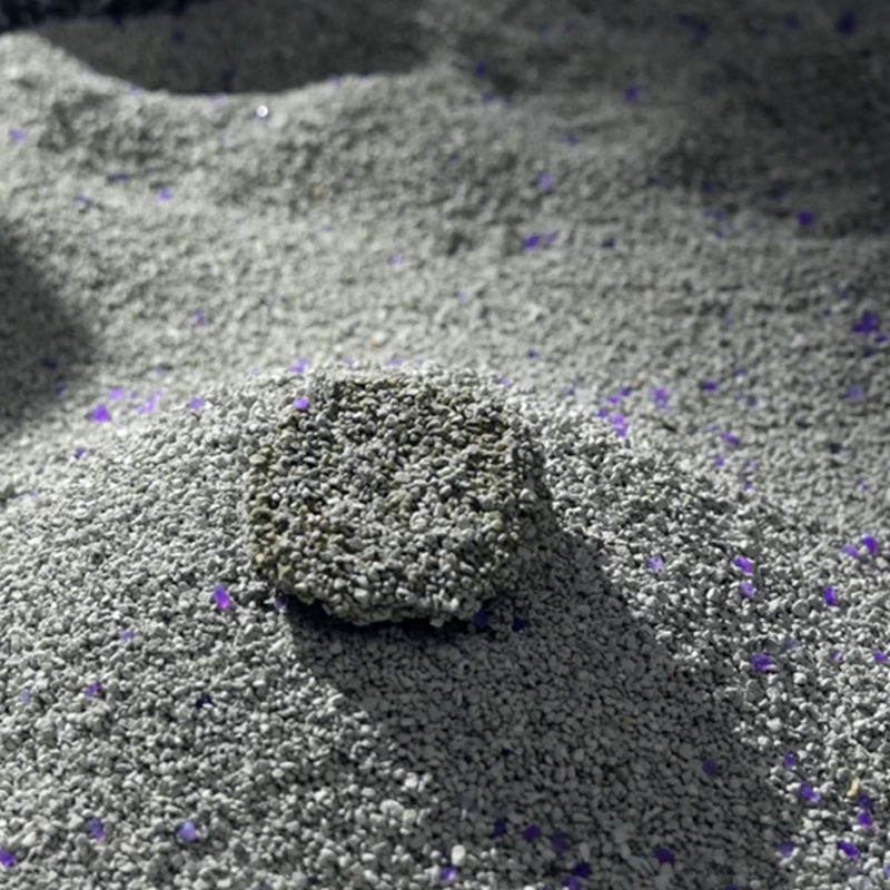 Výběr nejlepšího minerálního steliva pro kočky: Praktické tipy pro čistší domov